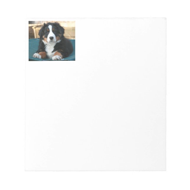 Bloc-note chiot de montagne bernois (Devant)