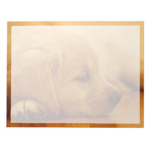 Bloc-note Chiot Golden Retriever