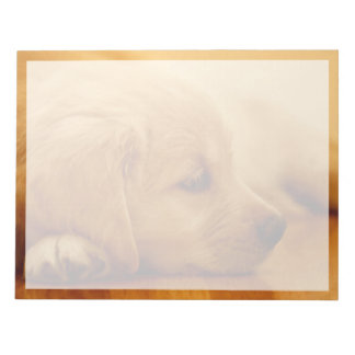 Bloc-note Chiot Golden Retriever