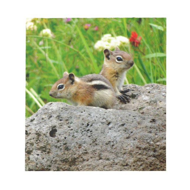 Bloc-note Chipmunks (Devant)