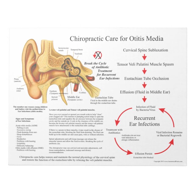 Bloc-note Chiropractic Care for Ear Infections Documents (Devant)