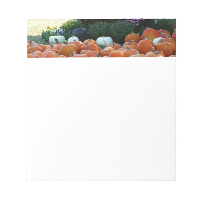 Bloc-note Citrouilles et Chrysanthèmes Photographie de la ré (Devant)