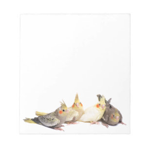 Bloc-note Cockatiles