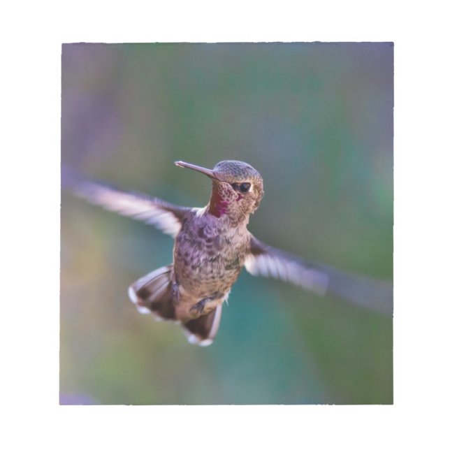 Bloc-note Colibri (Devant)