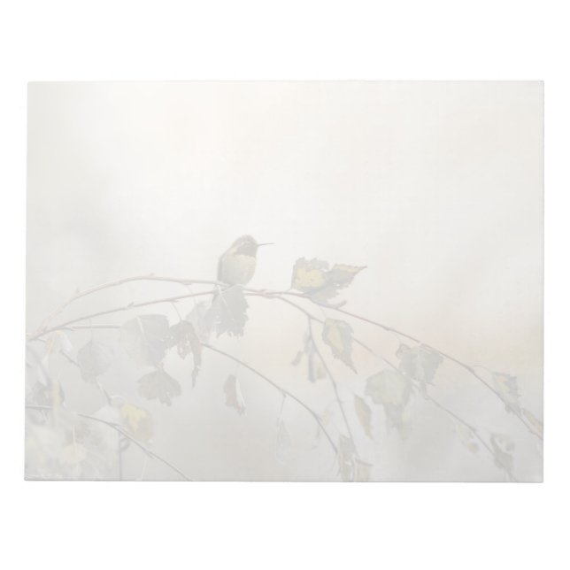 Bloc-note Colibri 5265 (Devant)