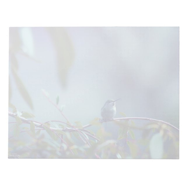 Bloc-note Colibri 5738 (Devant)