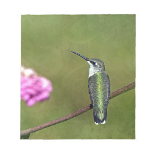Bloc-note Colibri et Zinnia