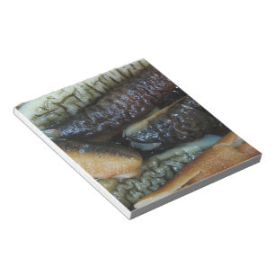 Bloc-note Concombre de mer ... Nourriture du marché du Yaowa