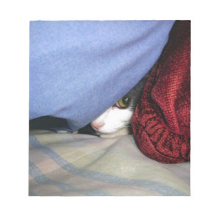 Bloc-note Consultez un livre