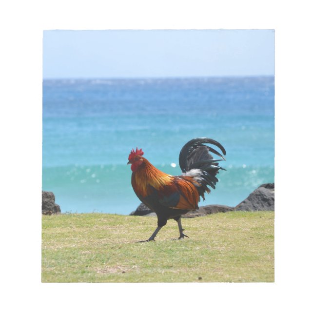 Bloc-note coq de Kauai (Devant)