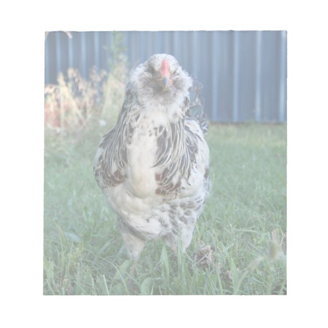 Bloc-note Coq d'oeuf de Pâques (Devant)