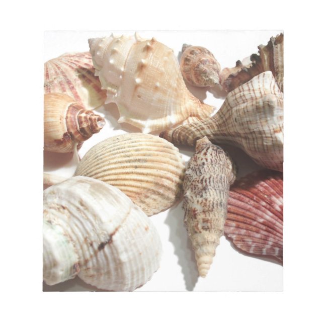 Bloc-note Coquillages (Devant)