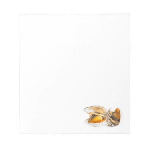 Bloc-note Coquille