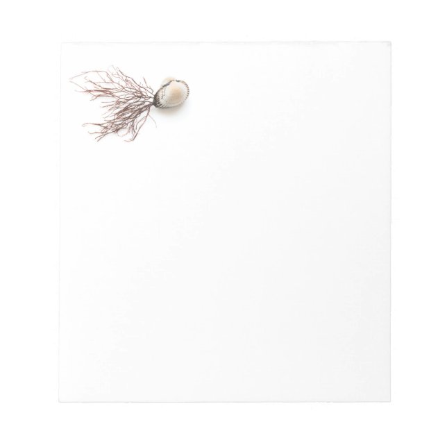 Bloc-note Coquille (Devant)
