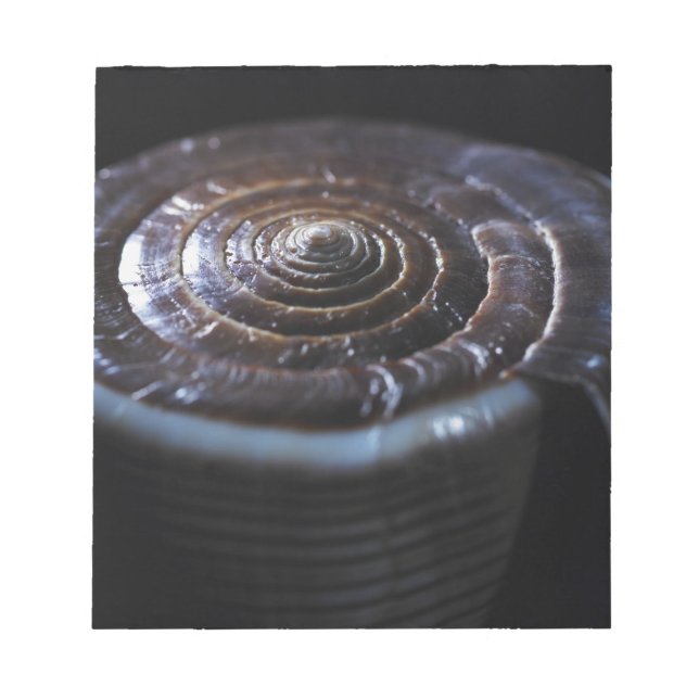 Bloc-note Coquille de cône (Devant)