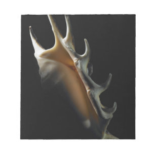 Bloc-note Coquille de conque