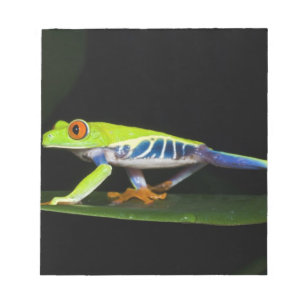 Bloc-note Costa Rica, Grenouille aux yeux rouges (Agalychnis