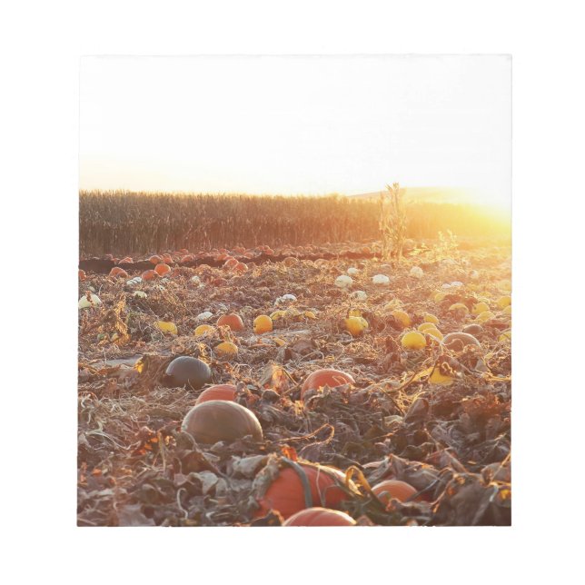 Bloc-note Coucher de soleil au champ de citrouilles (Devant)