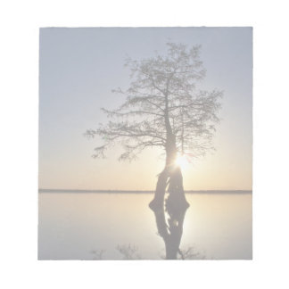 Bloc-note Coucher de soleil derrière un arbre