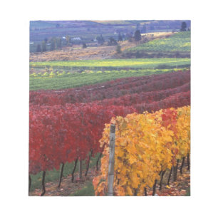 Bloc-note Couleurs d'automne rouges et jaunes intenses sur G