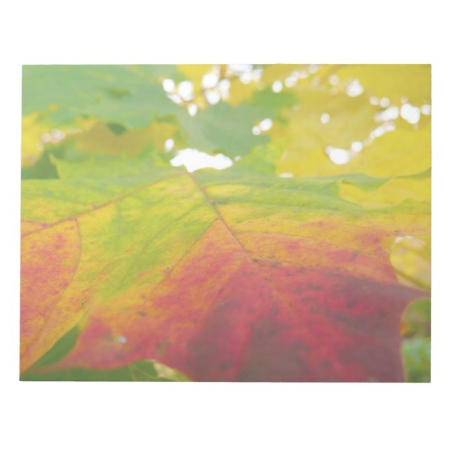 Bloc-note Couleurs de la feuille d'érable Automne Photograph (Devant)