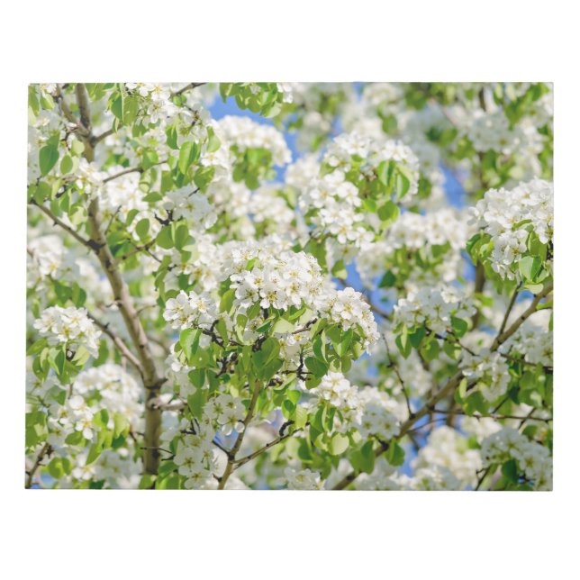 Bloc-note Crab apple blossom (Devant)