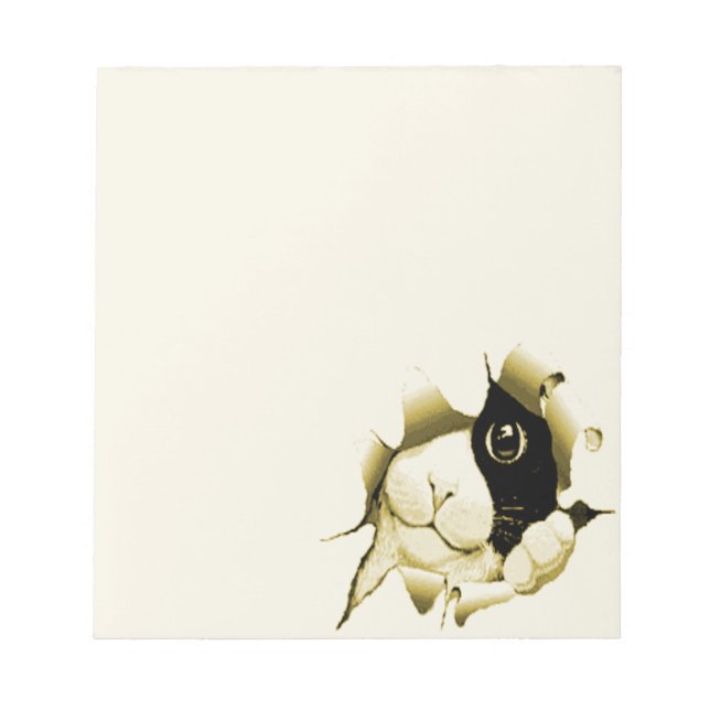 Bloc-note Curieux chat (Devant)