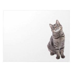 Bloc-note Cute tabby Cat