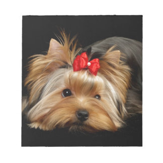 Bloc-note Cute yorkie