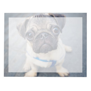 Bloc-note Cutest Baby Animals   Baby Pug