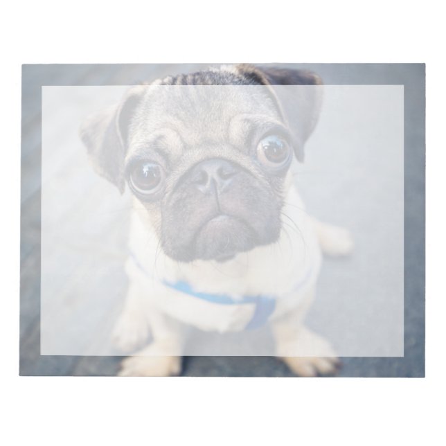 Bloc-note Cutest Baby Animals | Baby Pug (Devant)