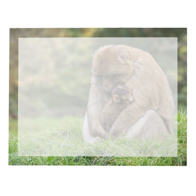 Bloc-note Cutest Baby Animals | Barbary Macaque Family (Devant)