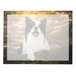 Bloc-note Cutest Baby Animals   Black and White Border Colli