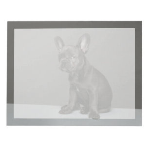 Bloc-note Cutest Baby Animals Blue French Bulldog Puppy