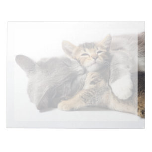 Bloc-note Cutest Baby Animals   Cute Kitten Hug