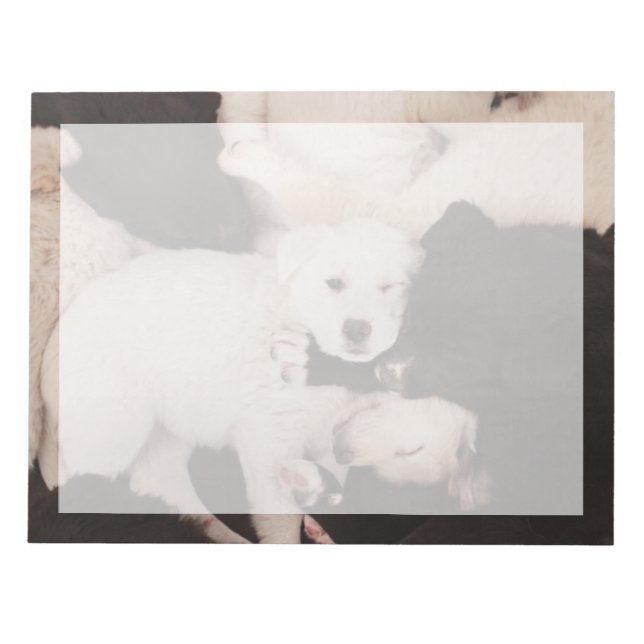 Bloc-note Cutest Baby Animals | Pile of Puppies (Devant)