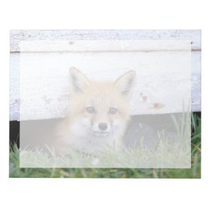 Bloc-note Cutest Baby Animals Red Fox Kit Peeking