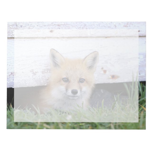 Bloc-note Cutest Baby Animals | Red Fox Kit Peeking (Devant)