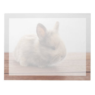 Bloc-note Cutest Baby Animals Tiny Baby Bunny