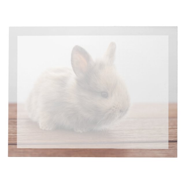 Bloc-note Cutest Baby Animals | Tiny Baby Bunny (Devant)