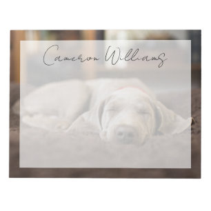 Bloc-note Cutest Baby Animals Weimaraner Puppy Sleeping