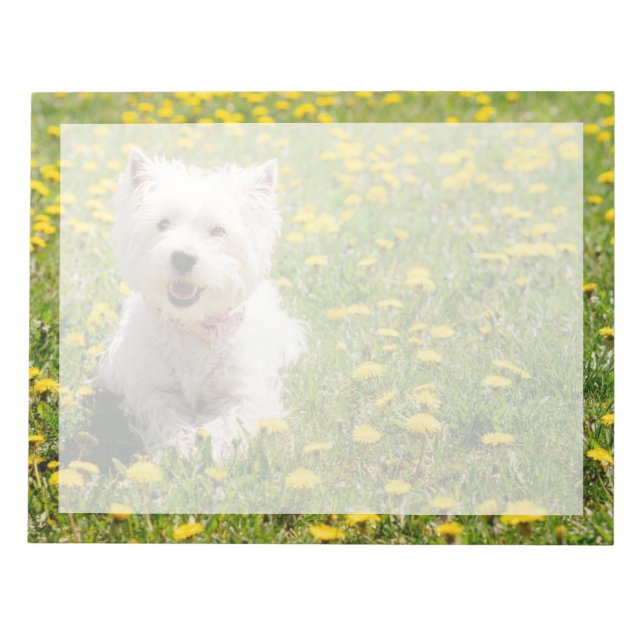 Bloc-note Cutest Baby Animals | Westie Dog in Dandelions (Devant)