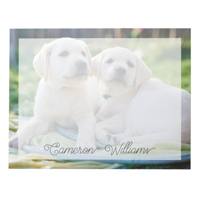 Bloc-note Cutest Baby Animals | Yellow Labrador Retrievers (Devant)
