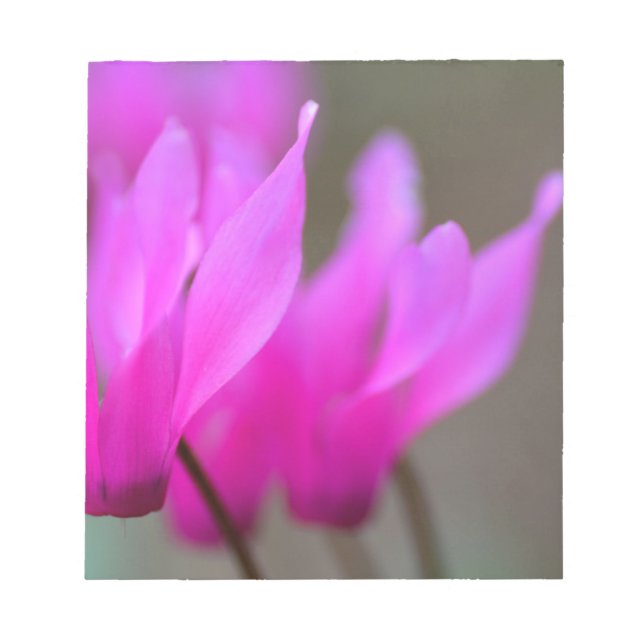 Bloc-note Cyclamen Sauvage Macro (Devant)