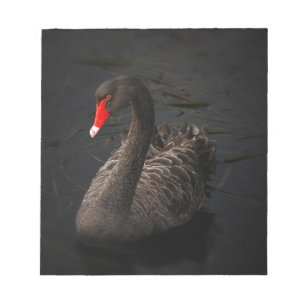 Bloc-note Cygne noir