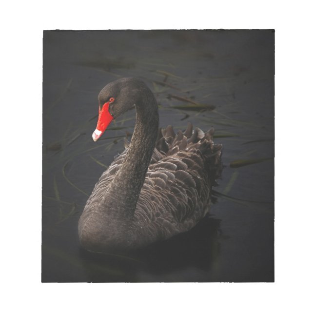 Bloc-note Cygne noir (Devant)