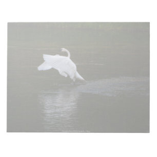 Bloc-note Cygne trompette