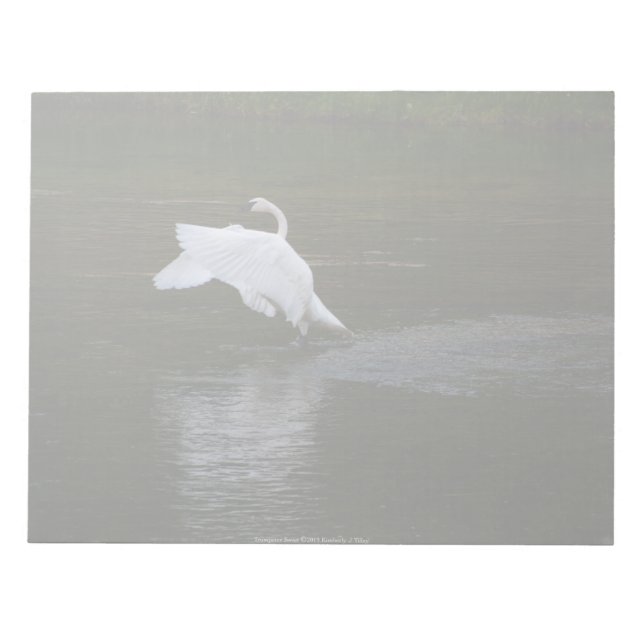 Bloc-note Cygne trompette (Devant)