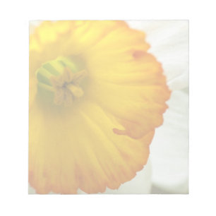 Bloc-note Daffodile