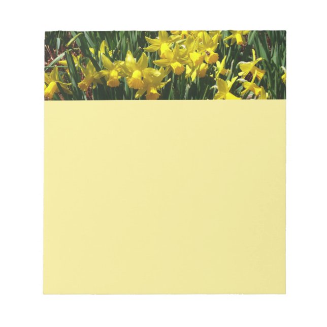 Bloc-note Daffodiles Jaunes I Fleurs De Printemps Cheveux (Devant)